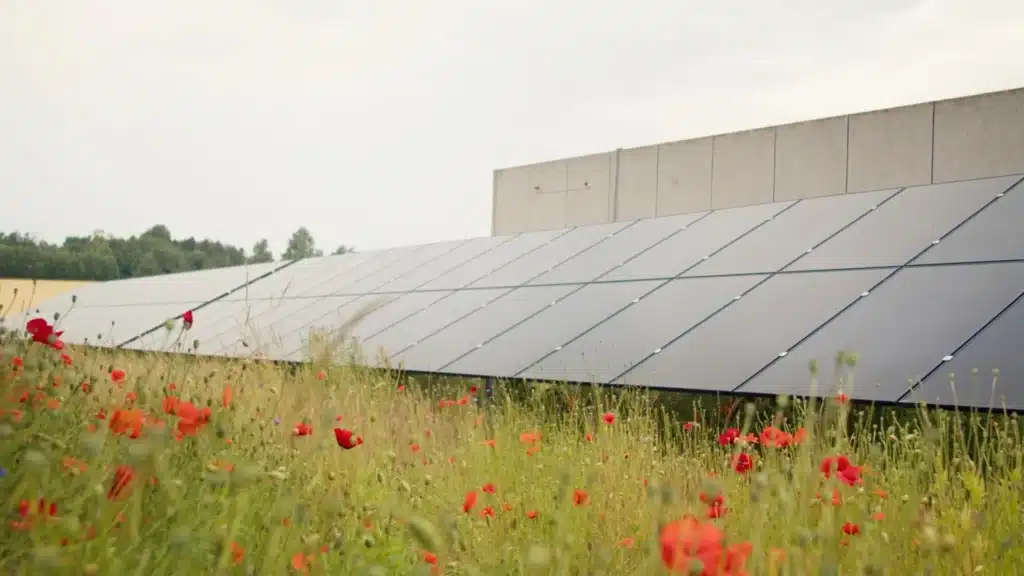 NRGreen solceller hos Hansens Flødeis
